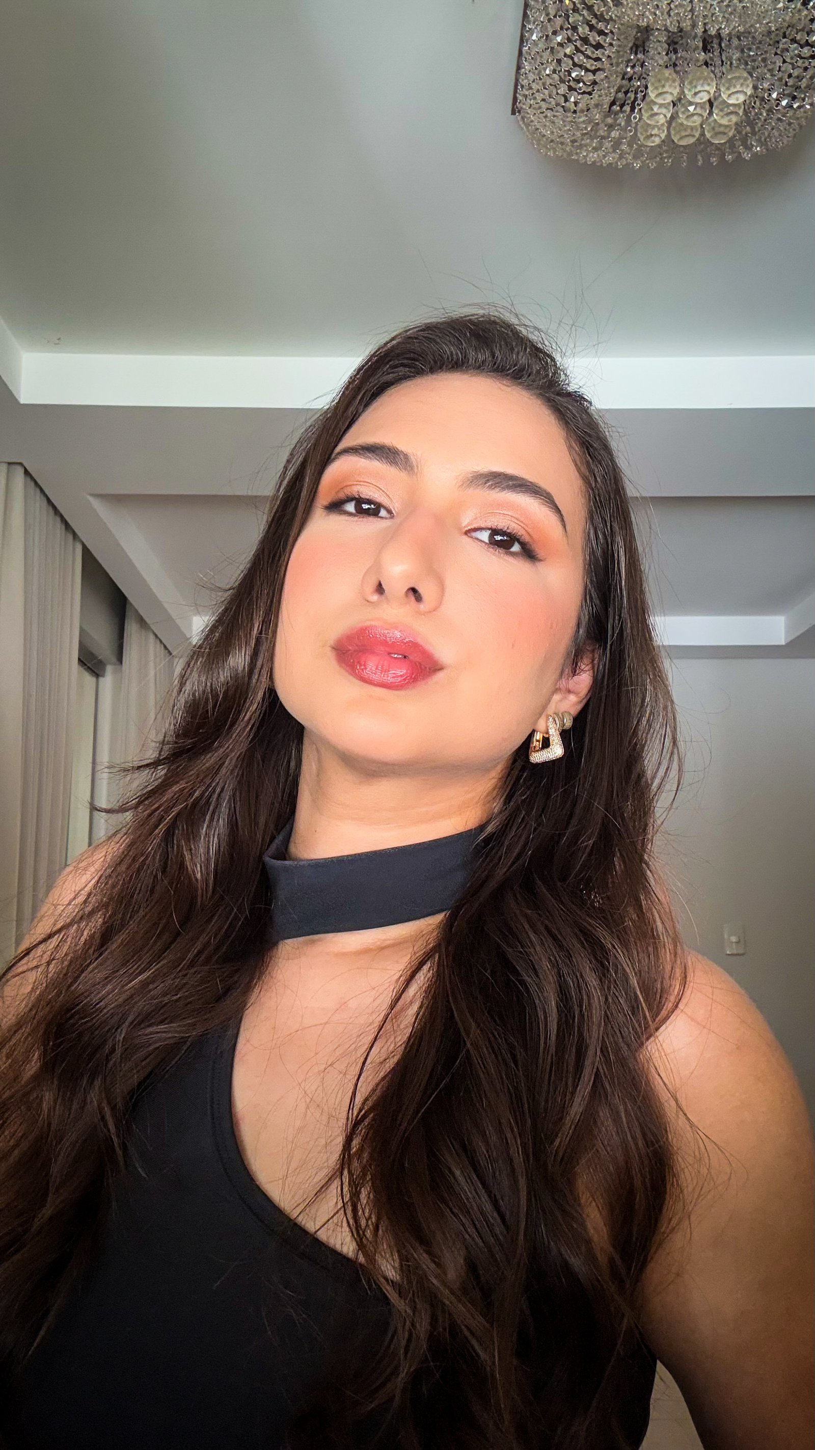 Ana Luisa de Araújo S Carneiro 